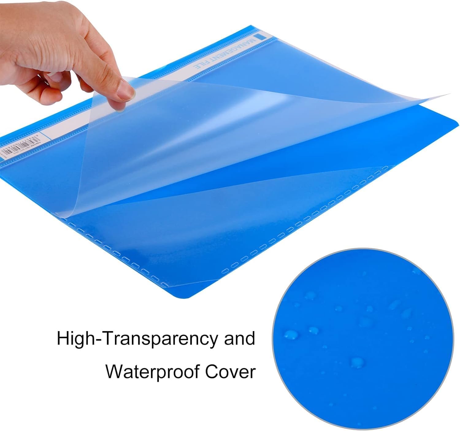 A4 Transparent File With Multi Color
